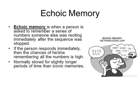 Echoic Memory