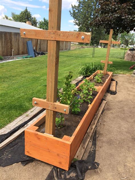 My Raised Bed For Raspberries On The To The Next One Berry Garden