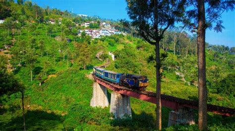 Ooty Tour Package 3 Nights 4 Days Ooty Holiday Package