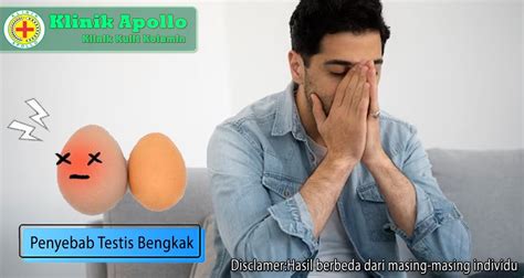 Penyebab Testis Bengkak Mulai Dari Peradangan Hingga Kanker By Klinikapollojakarta Medium