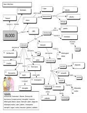 Biology Corner Blood Concept Map Answers Oconto County Plat Map