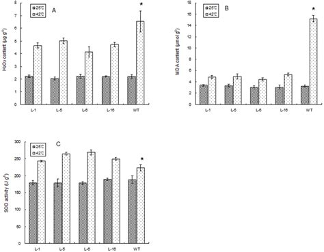 Hydrogen Peroxide H O Content A And Malondialdehyde Mda Content