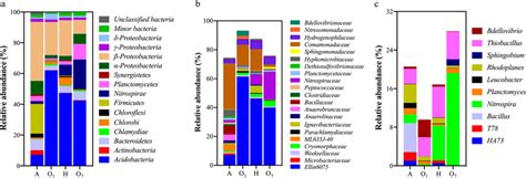 Relative Abundance Of Major Phyla Genera And Families In The