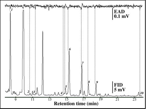 GC FID Bottom And GC EAD Top Traces Of A Volatile Collection From A