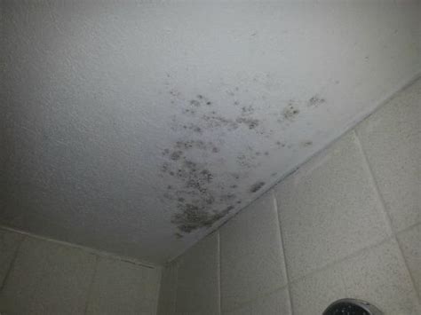 What To Do With Mold On Bathroom Ceiling Bathroom Poster