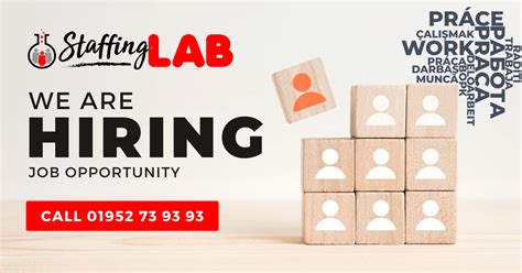 Flt Staffing Lab Ltd