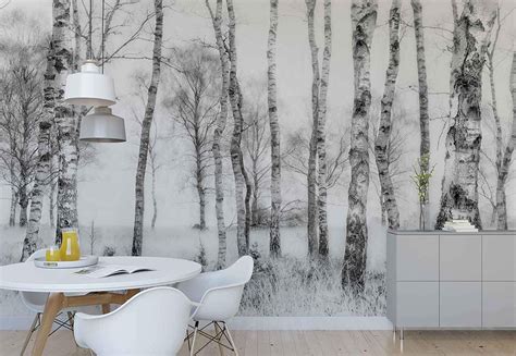 Papier Peint Mural Troncs D Arbres De Bouleau Des Bois Th Me For T