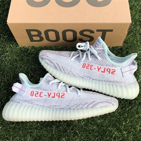 Yeezy 350 Blue Tint