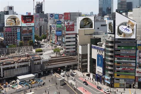 毎時0分に注目！超巨大“秋田犬”3dカラクリ時計が、渋谷駅前の8面ビジョンに出現 Straight Press ストレートプレス