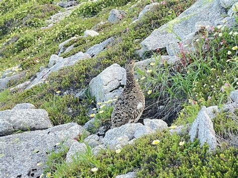 行ってみよう～！！ 信州みやだ観光ガイド 長野県宮田村・木曽駒ヶ岳の観光情報サイト