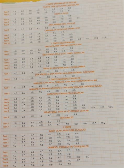 8 sınıf fenomen b matematik cevap anahtarı Eodev