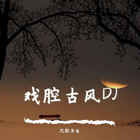 抖音泽国同学 折风渡夜william威廉bootleg Mlk电音网