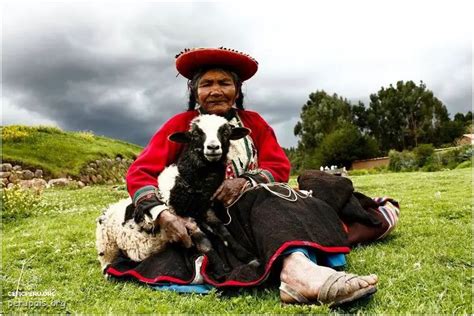 Descubre Las Maravillas De La Flora Y Fauna De La Sierra Del Peru