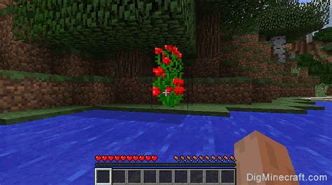 Minecraft Rose Bush Png - Download transparent rose bush png for free on pngkey.com. - All Red Mania