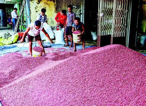 Pulses Surpass Rice In Export Earnings Boosting Myanmars Agricultural