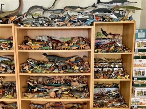 An Amazing Dinosaur Model Collection On Display