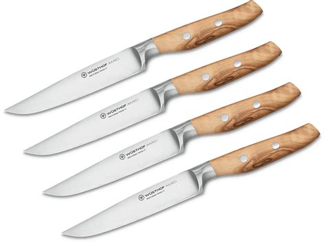 Reviews And Ratings For Wusthof Amici 4 Piece Steak Knife Set Olive