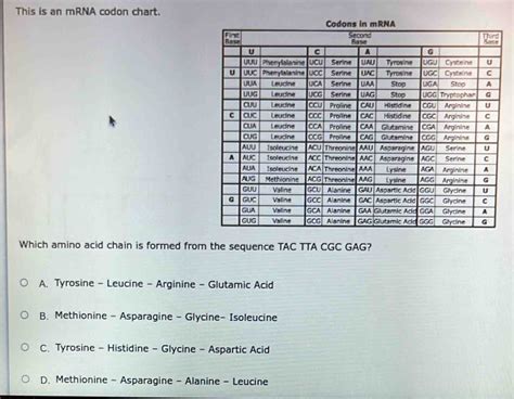 Solved This Is An MRNA Codon Chart Which Amino Acid Chain Is Formed