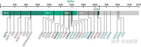 速度！北京义翘神州成功开发“奥密克戎”变异株重组蛋白 知乎