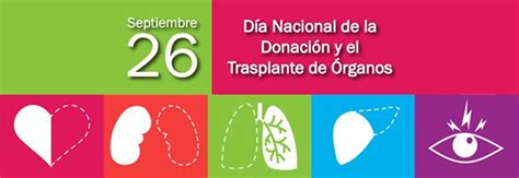 Día Nacional De La Donación Y Trasplante De Órganos Presidencia De La