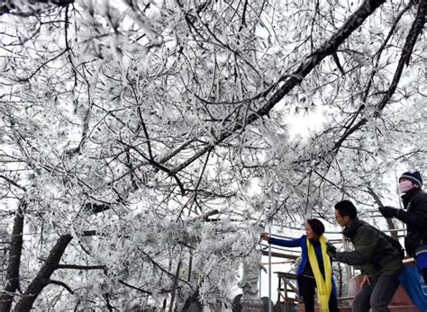 广州真的下雪了，广东好多地方都下雪了！