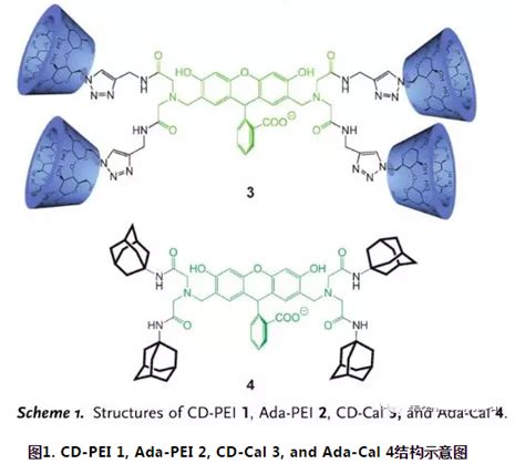 一文介绍环糊精与金刚烷的主 客体相互作用及改性聚 乙烯亚胺 Pei组装的管状囊泡 Udp糖丨mof丨金属有机框架丨聚集诱导发光丨荧光标记推荐西安齐岳生物