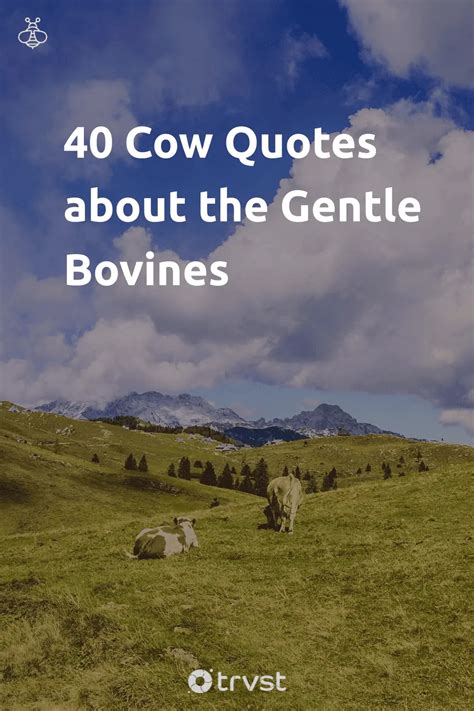 Cow Quotes About The Gentle Bovines