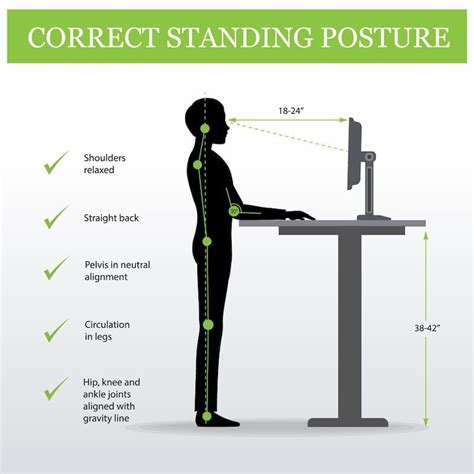 Our Guide to Using a Sit-Stand Desk Ergonomically - CMD Ltd