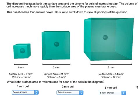 Area To Volume