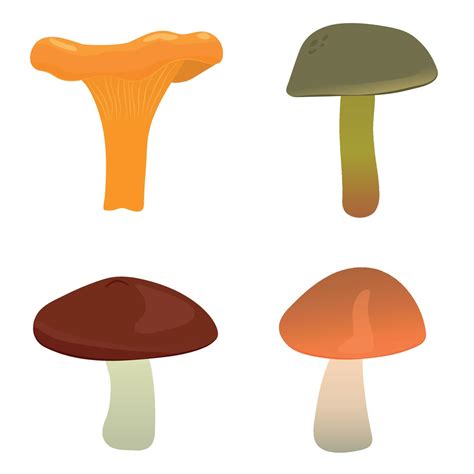 Cartoon Set Of Edible Mushrooms Chanterelle Boletus Luteus