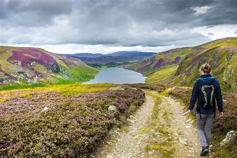 Rewilding Scotland: the fight to restore a nation's natural assets