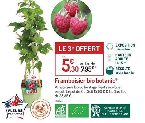 Offre Framboisier Bio Botanic Chez Botanic