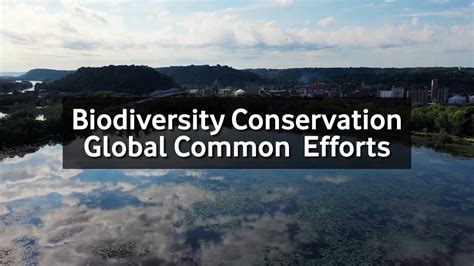 Biodiversity Conservation Global Common Effort Youtube