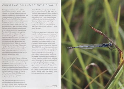 Dragonflies And Damselflies Of Tasmania NHBS Field Guides Natural