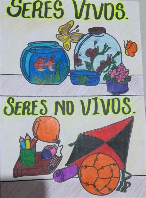 Seres Vivos Y No Vivos Seres Vivos Portadas Vivos Y No Vivos