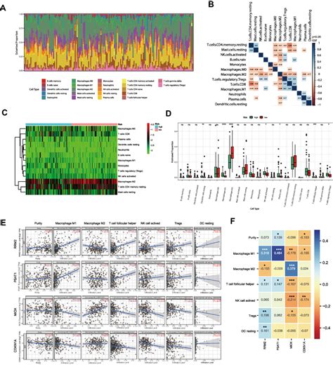 Validation Of A Ferroptosis Related Signature In Prcc Ijgm