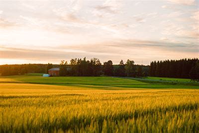 Field Finland - Lantmännen