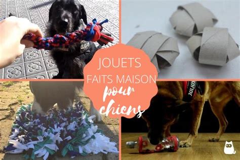 10 jouets pour chien faits maison Avec des matériaux recyclés