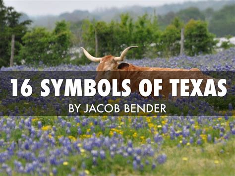 16 Texas State Symbols By Jacob Bender