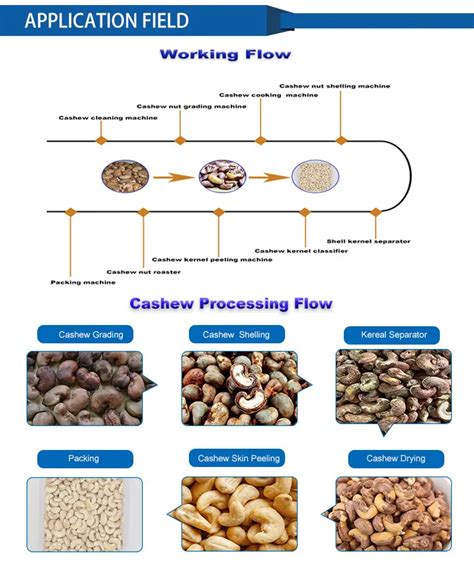 Automatic Breaker Sheller Cracker Shell Removing Cashew Nut Breaking