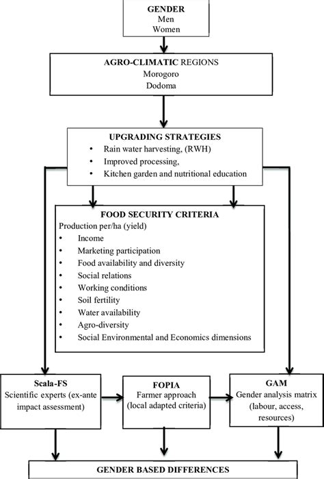 Gender Assessment Conceptual Framework 20 Research Methodology 21 Download Scientific Diagram