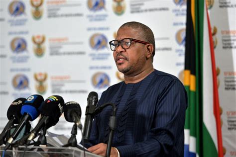 Ramaphosa Not Infallible Or Beyond Criticism Mbalula Video