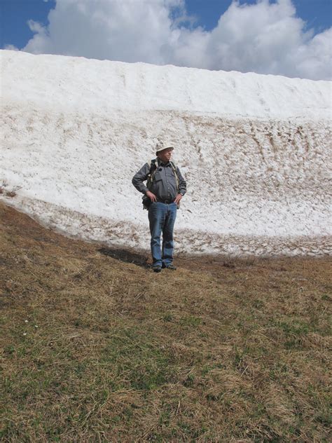 Norbert Kondla Snowbank Caribou Range British Columbia Flickr