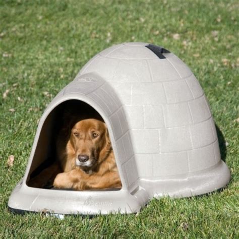 The most modern luxury dog house designs – Have you already selected ...