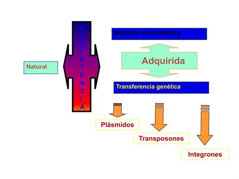 Resistencia Bacteriana A Los Antimicrobianos Ppt