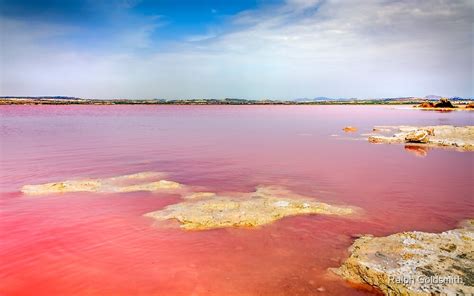 Pink Salt Lake At Torrevieja By Ralph Goldsmith Redbubble