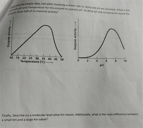 Solved Describe what each term in the Beer's Law equation | Chegg.com