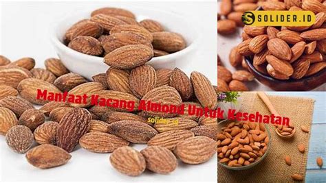 Temukan 10 Manfaat Kacang Almond Untuk Kesehatan Yang Jarang Diketahui