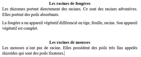 Exercice Svt Me Appareil V G Tatif Des Plantes Sans Fleurs