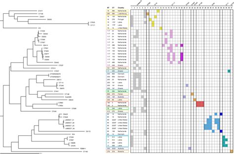 Neighbour Joining Tree Based On Cgmlst Target Genes Of The